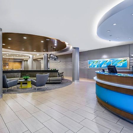 Springhill Suites By Marriott San Antonio Seaworld/Lackland Dış mekan fotoğraf